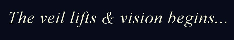 Symbolic unveiling of vision